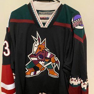 Arizona Coyotes CCM Team Classic Kachina